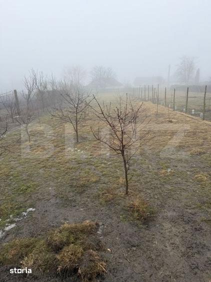 Casă cu 5 camere cu Teren 1138 Mp în Moara