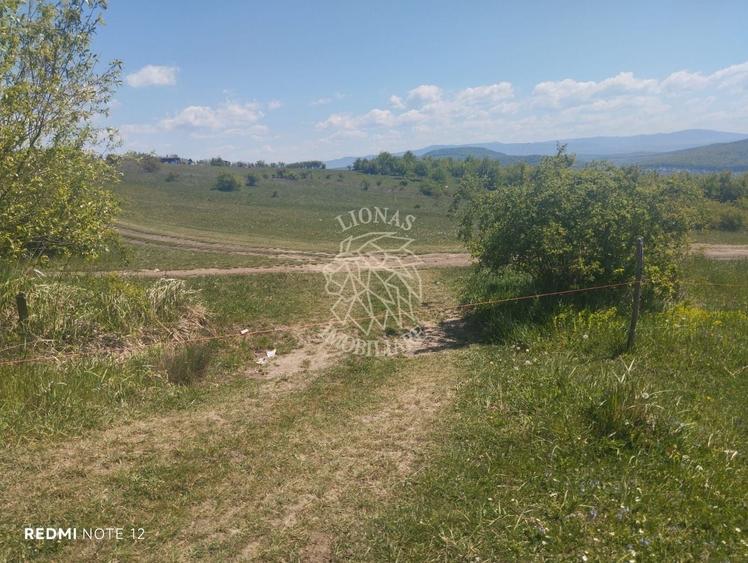 Teren agricol extravilan de 2100 mp, în Cetății