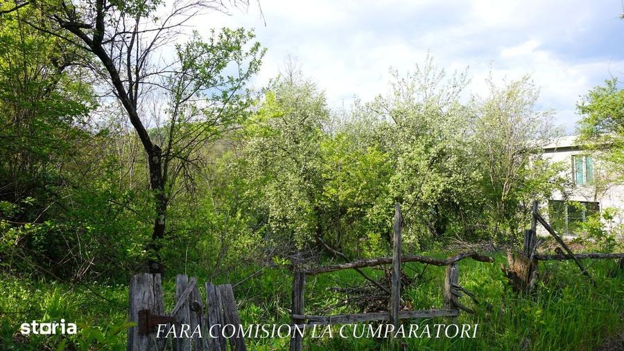 Zona Superba - Terenuri De Vanzare - 12