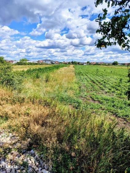 Teren intravilan, 2296 mp, zona Jucu de Mijloc - 1