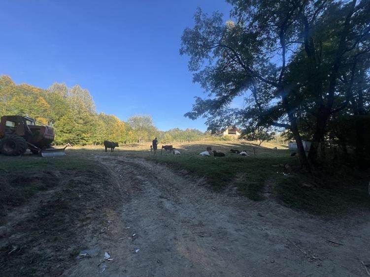 Teren de 5500 mp, în Tutana