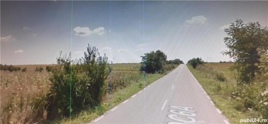 Teren de 3300 mp, în Bănești