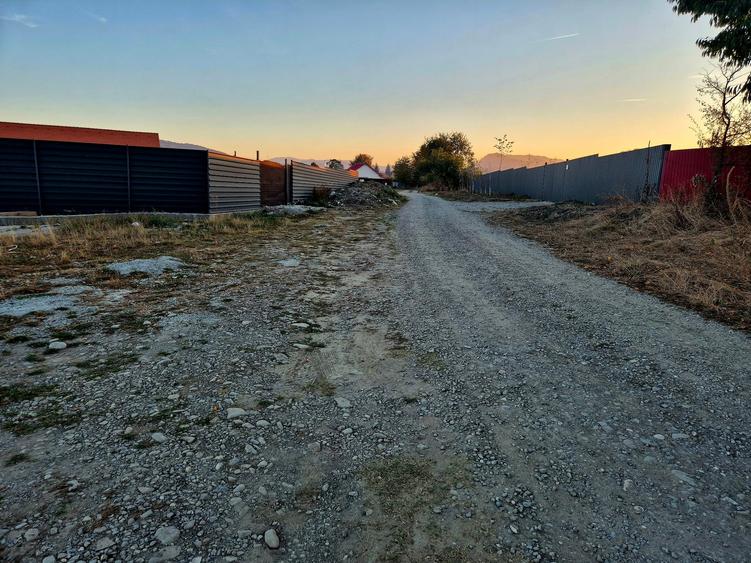 Teren Construcții intravilan de 1450 mp, în Cărpiniș