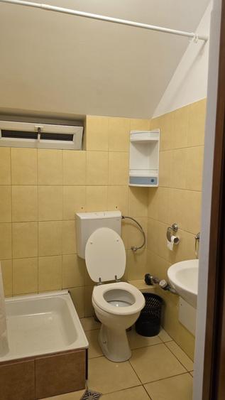 Ofer spre inchiriere apartament 1 camera, 34mp - Taietura Turcului - 4