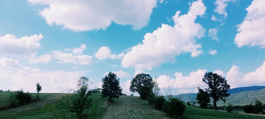 Teren agricol extravilan de 8439 mp, în Șinca Nouă
