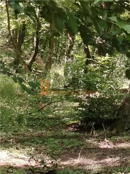 Teren intravilan de 1000 mp, în Sărata-Monteoru