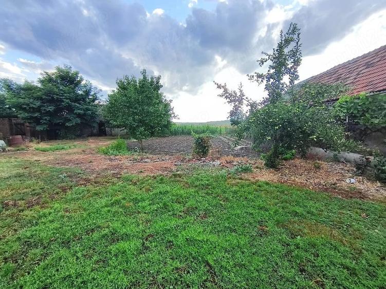 Casă cu Teren 4869 Mp în Abram