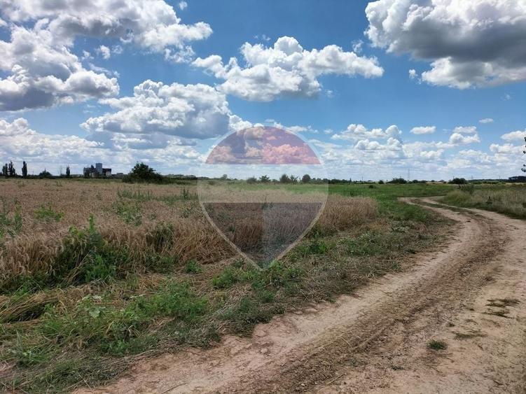 Teren agricol intravilan de 9843 mp, în Crevedia