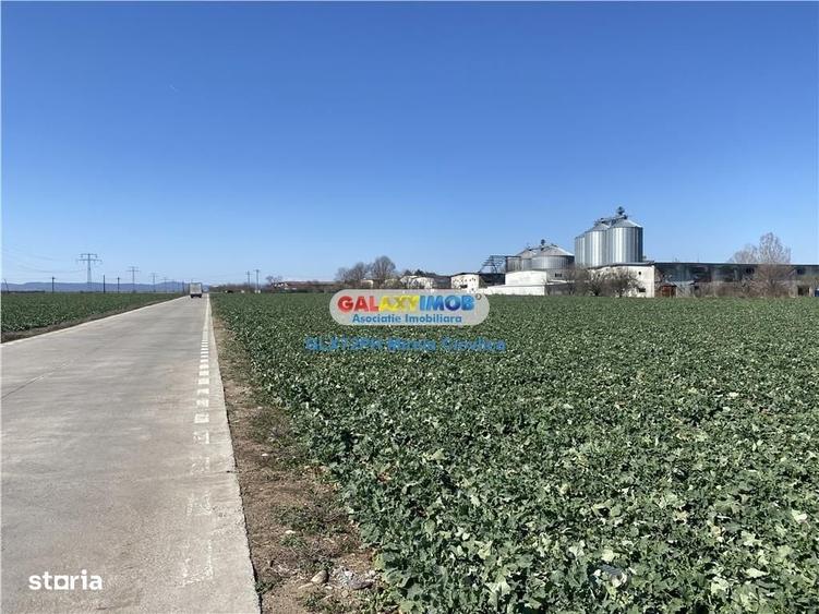 Spațiu comercial, în Păulești