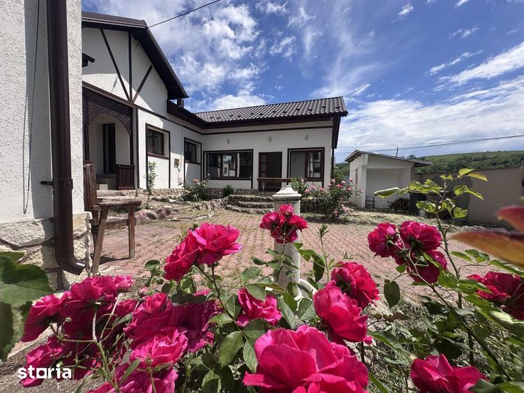 Casă cu 6 camere cu Teren 1532 Mp în Gura Vadului