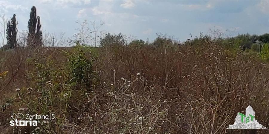 Teren intravilan de vanzare 28.200 mp Bucuresti Sector 6 - 2