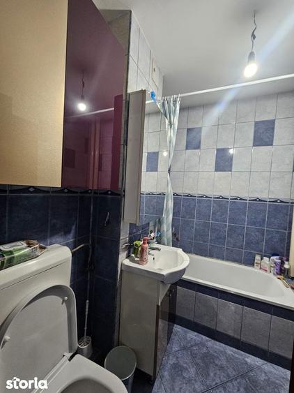 Apartament cu 2 camere, de inchiriat, zona Nufarul - Lotus, McDonald's - 7