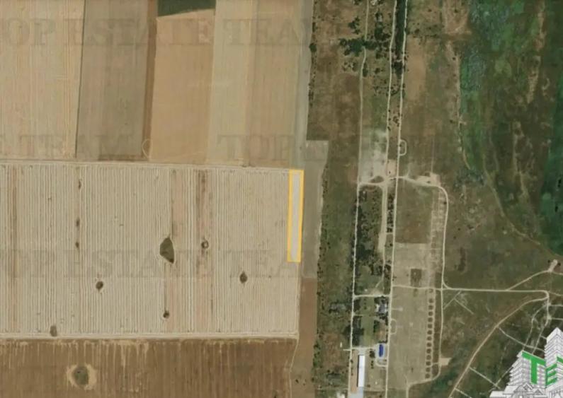 Teren de 5000 mp, în Corbu