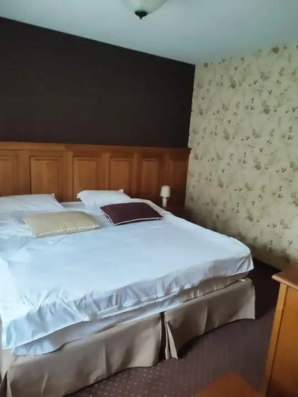Casă individuală cu 20 camere cu Teren 4914 Mp în Breaza de Jos