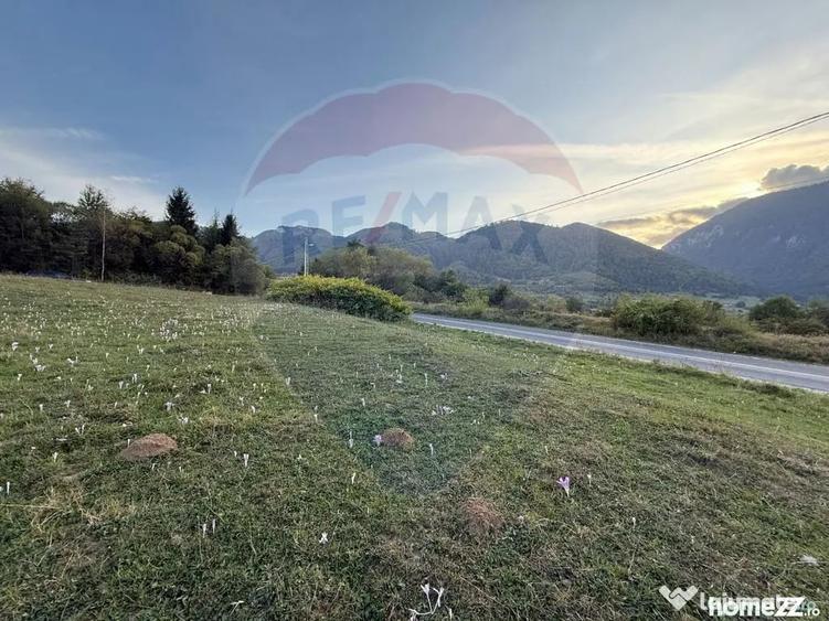Teren în Tohănița
