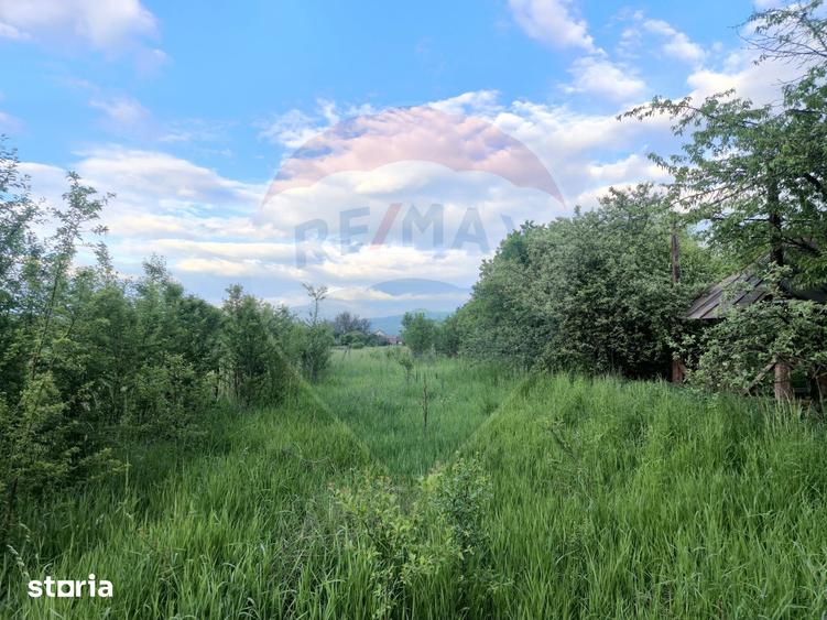 Casă cu 7 camere cu Teren 3650 Mp în Central