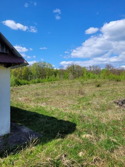 Teren de 70000 mp, în Șerani