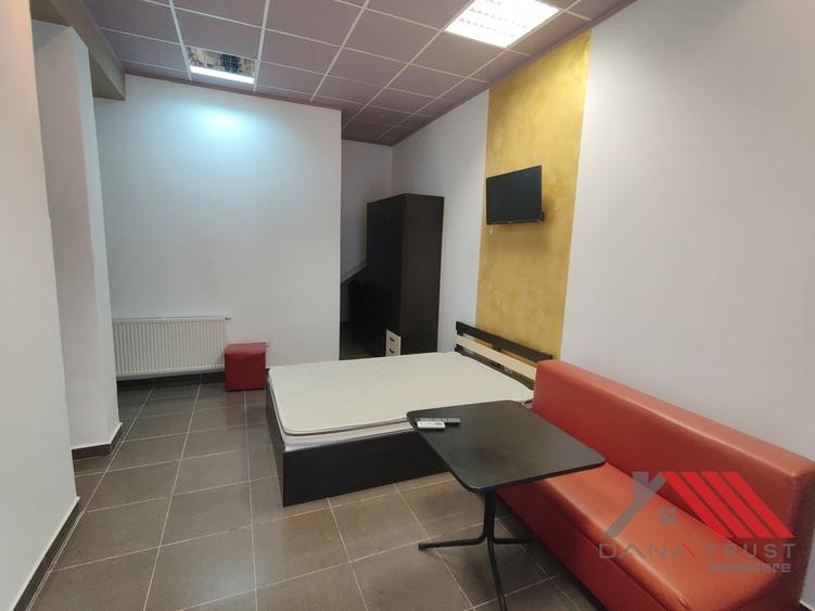 Garsonieră decomandată în Elisabetin