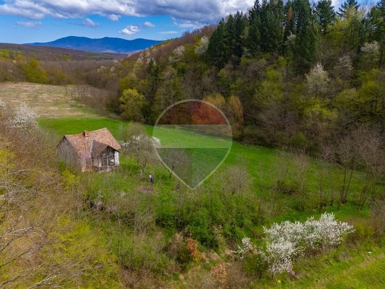 Casă individuală cu 4 camere cu Teren 5000 Mp în Cărand
