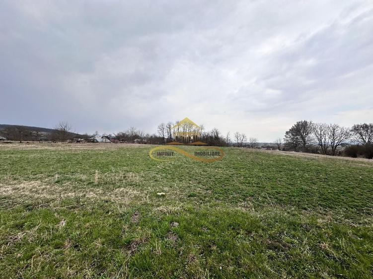 Teren Construcții intravilan de 11021 mp, în Blăgești