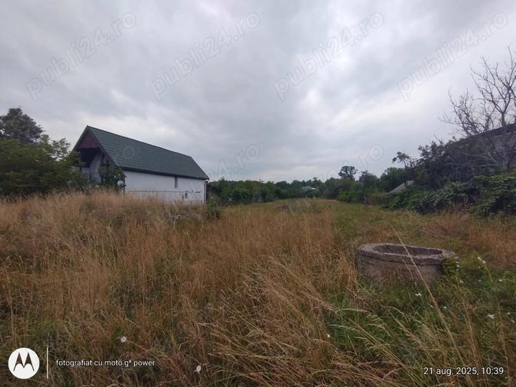 Teren de 1617 mp, în Lăpuș