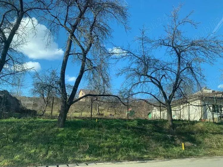 pers fiz BUCIUM str. Plopii fara Sot 9 caminul sf iosif - 3