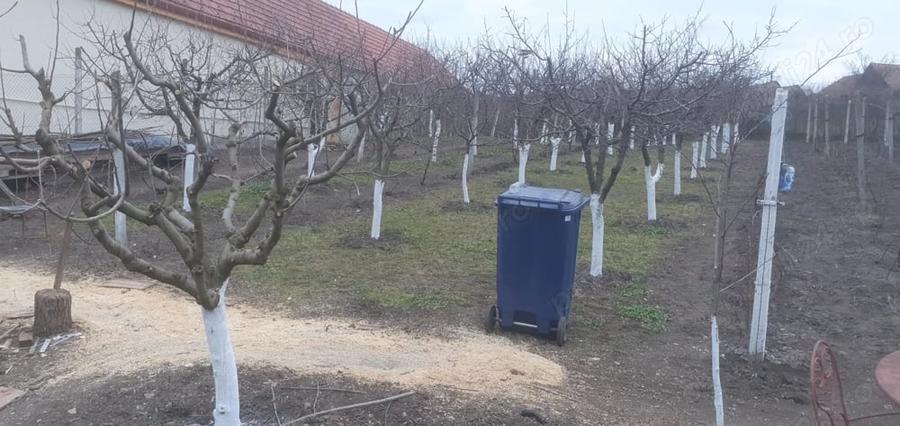 Teren de 966 mp, în Păuca