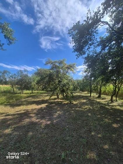 Teren de 1875 mp, în Galda de Jos