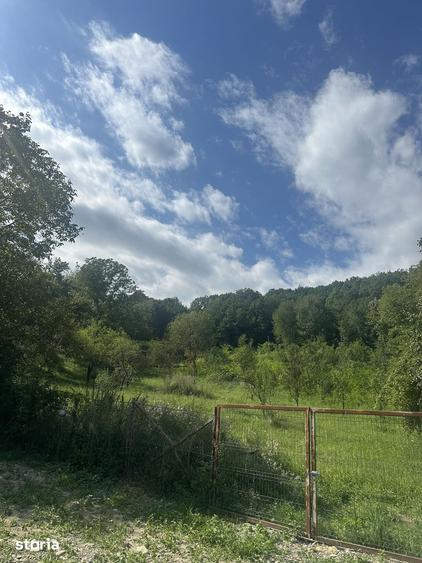 Telega - casa - teren 13000 mp/8000mp padure - 170000 Euro - 12