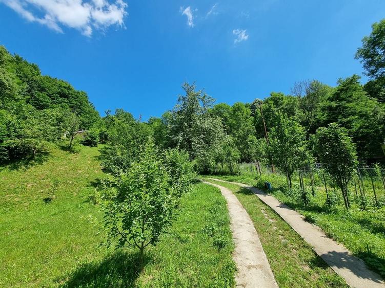 Casă individuală cu 3 camere cu Teren 5000 Mp în Plaiu (Provița de Sus)