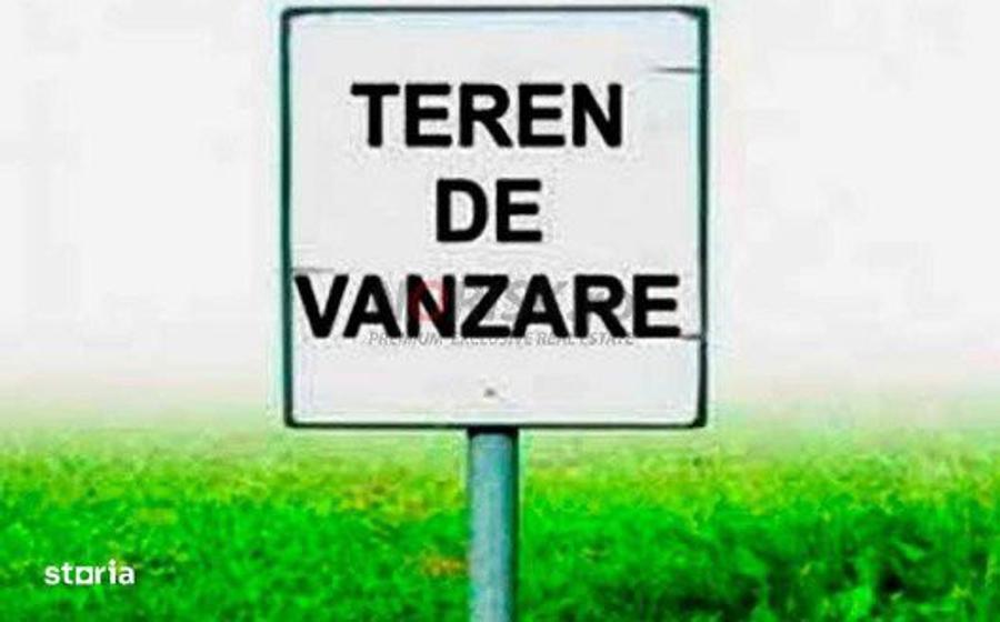 Teren extravilan | Tancabesti | 5000mp - 5