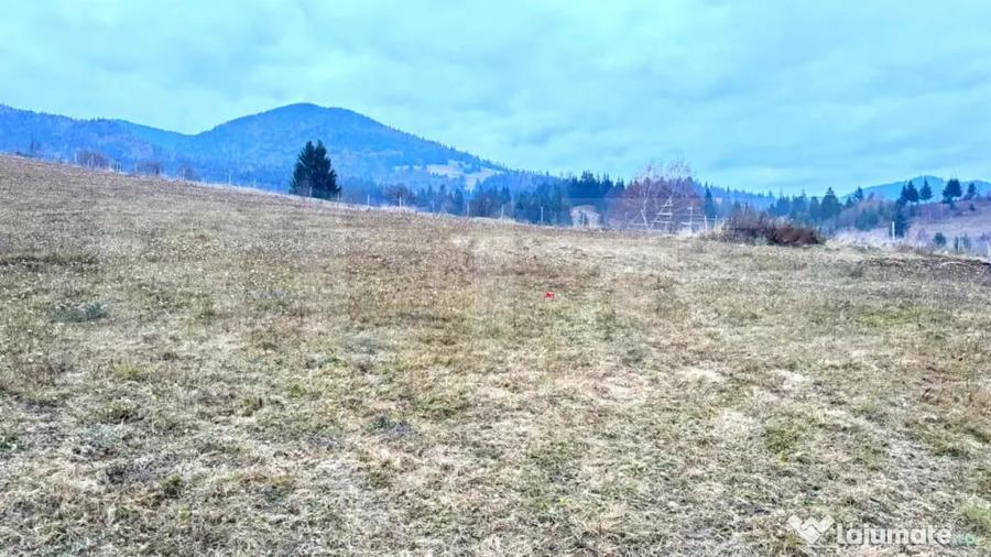 Teren de 2500 mp, în Colibița