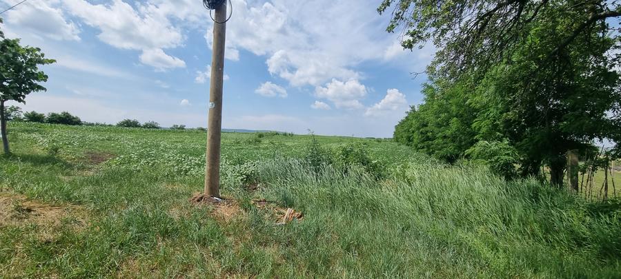 Teren Construcții intravilan de 5000 mp, în Central