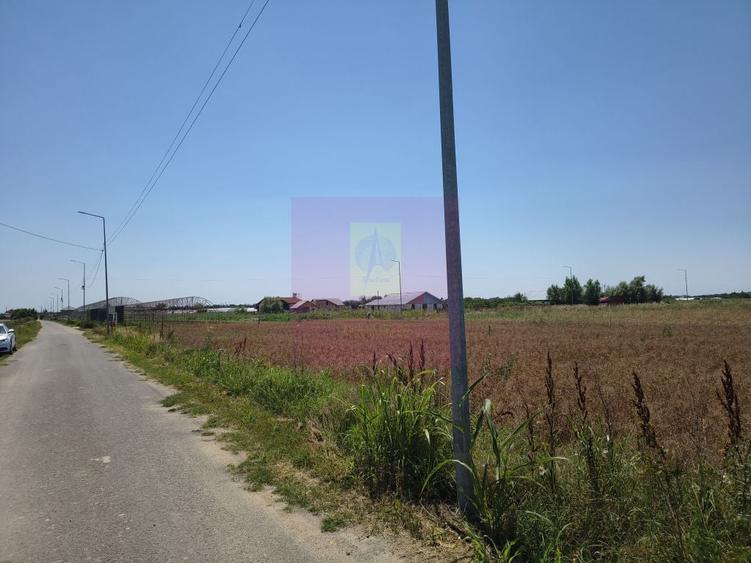 Teren de 582 mp, în Copăceni