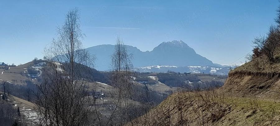 Casă cu 3 camere cu Teren 12000 Mp în Vulcan