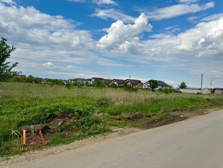 Teren intravilan 10000mp | Toate utilitatile | Zona Domnesti - 1