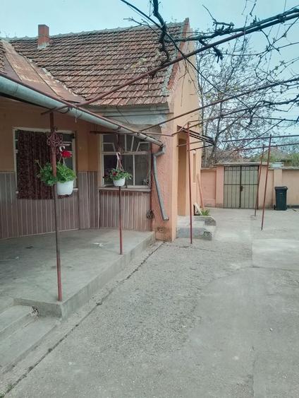 Casă cu 3 camere în Macea