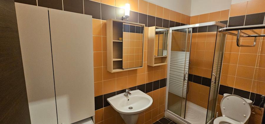 Penthouse - 4 camere - Central Park - Barbu Vacarescu - 20