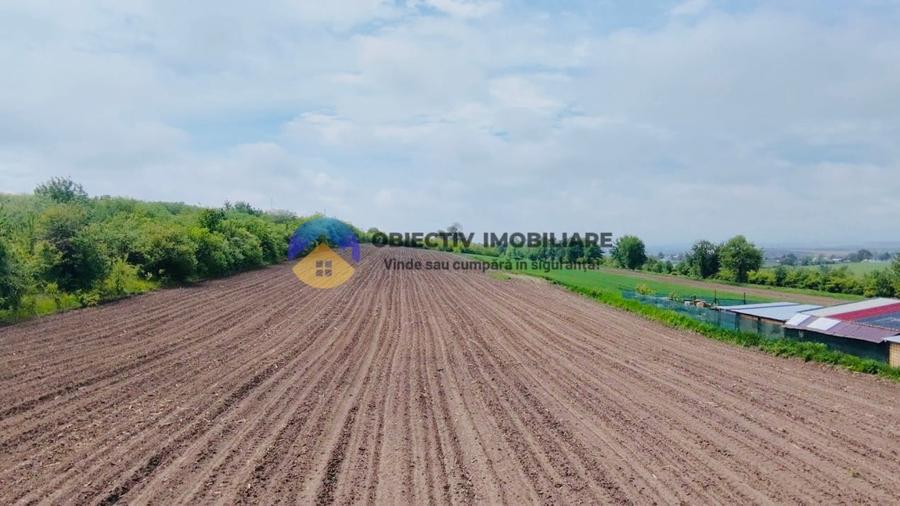 Teren intravilan de 12300 mp, în Cârligi