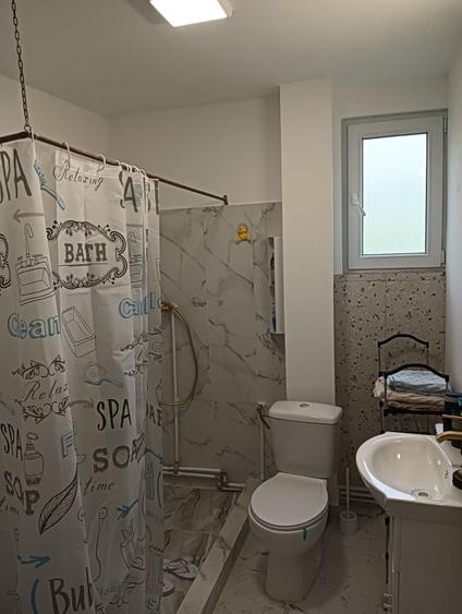 Cabana la pret de apartament in Comuna Babana - 13