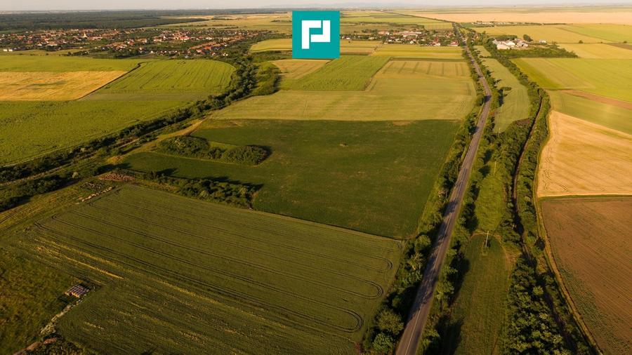Teren agricol extravilan de 42200 mp, în Secusigiu