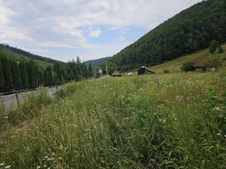 Teren de 5500 mp, în Hurez