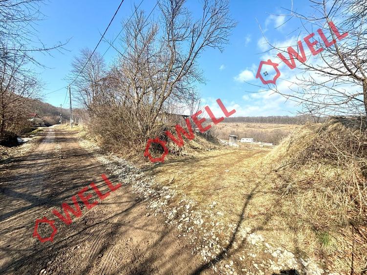 Teren intravilan de 2675 mp, în Pădureni
