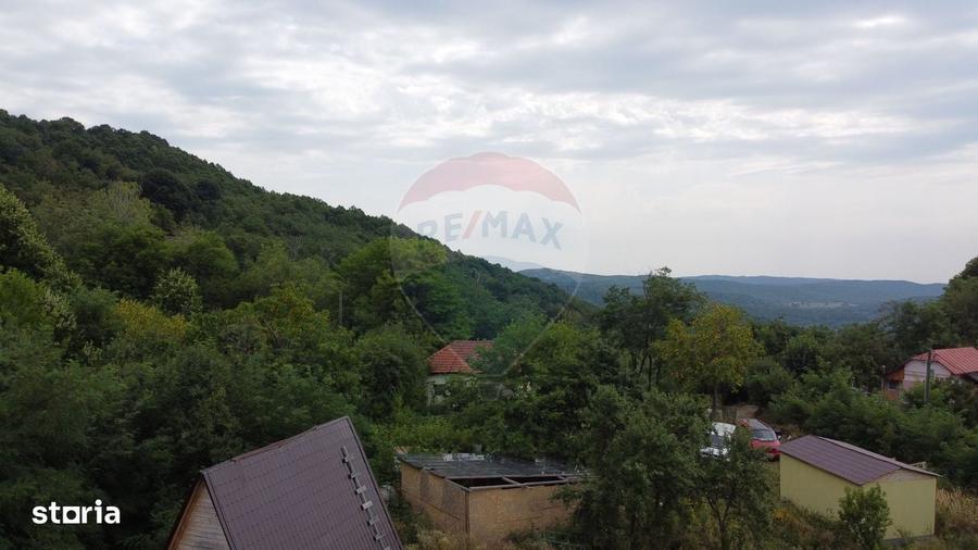 Spațiu comercial, în Livezile
