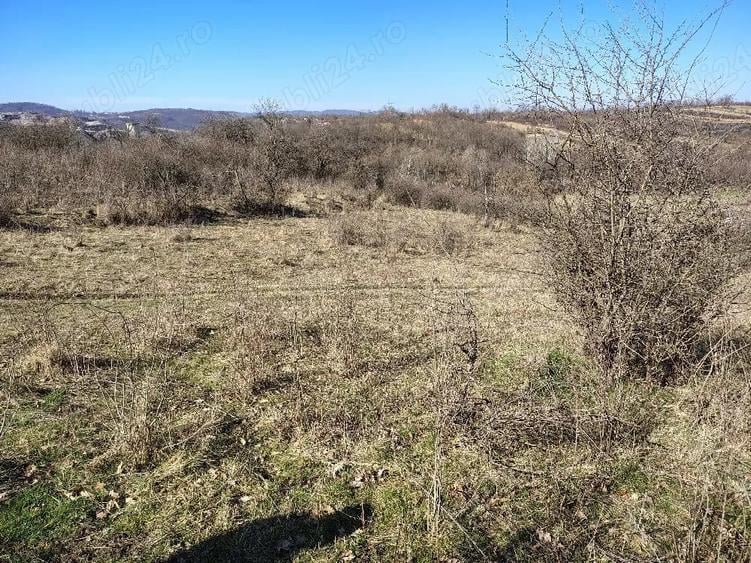 Teren de 1000 mp, în Central