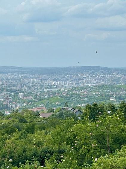 Teren agricol extravilan de 952 mp, în Bucium