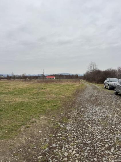 Teren Construcții intravilan de 7200 mp, în Lăpușel