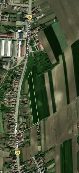Teren de 4200 mp, în Crăciunelu de Jos
