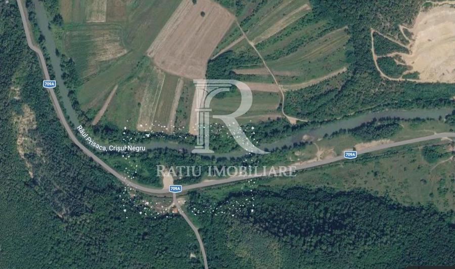 Teren Construcții extravilan de 500 mp, în Șoimi