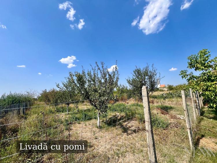 Casă individuală cu 4 camere cu Teren 1900 Mp în Tileagd